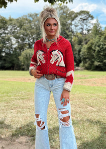 The Western Zip Up Sweater