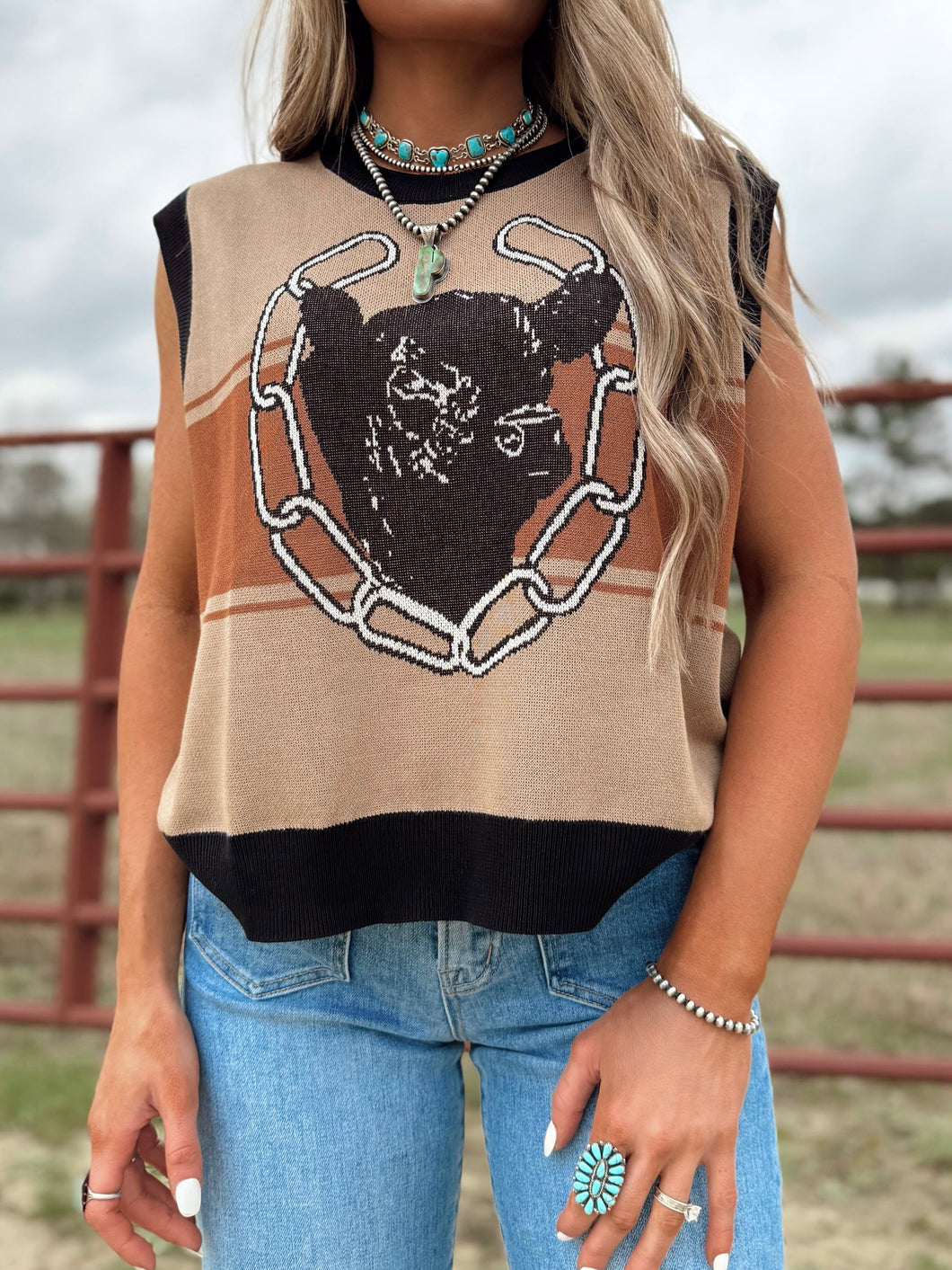 Bull Knit Sweater Vest