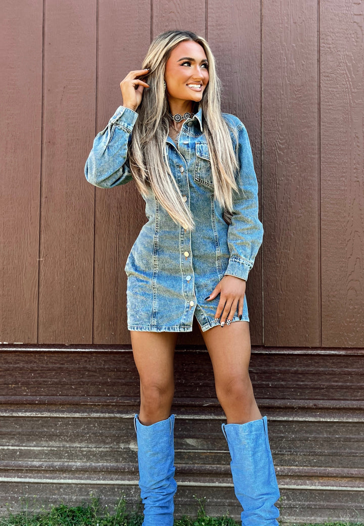 Dallas Denim Dress