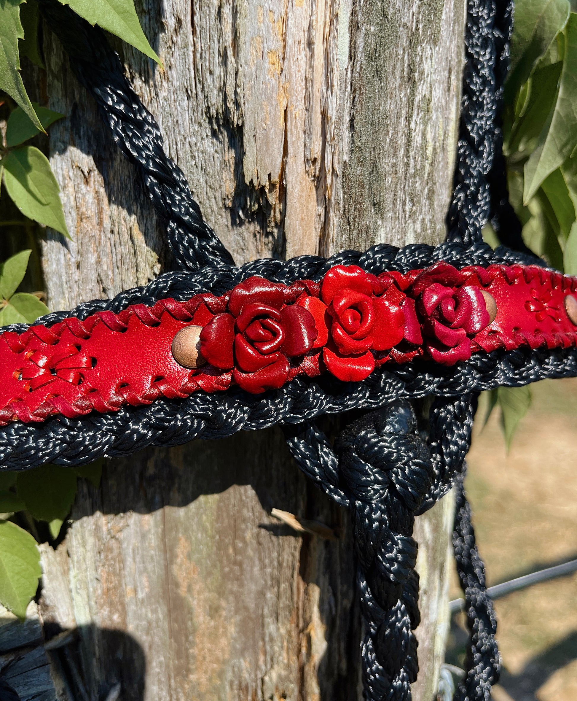 Red Roses Mule Tape Halter