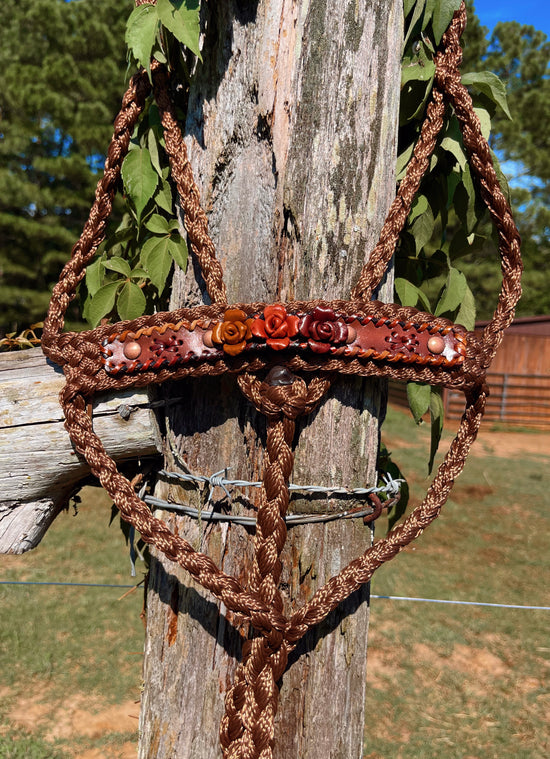 Neutral Roses Mule Tape Halter