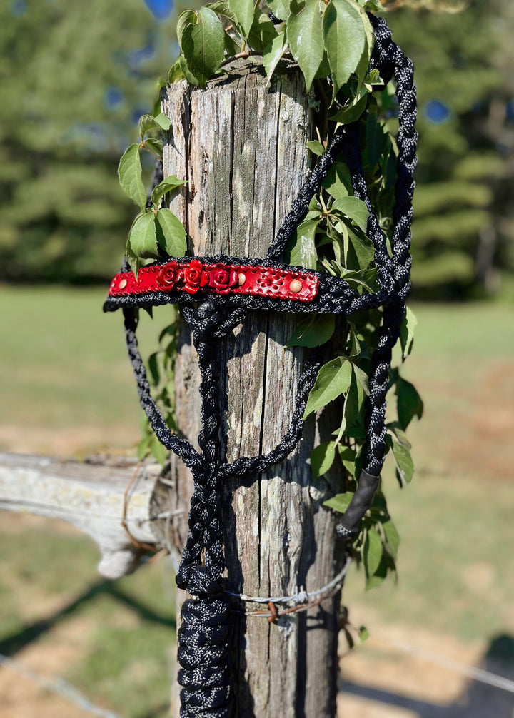 Red Roses Mule Tape Halter